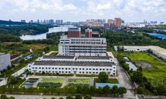 依牌合力撬动更大市场增量