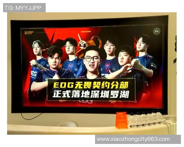 EDG在精英赛中的技术表现分析与未来发展展望