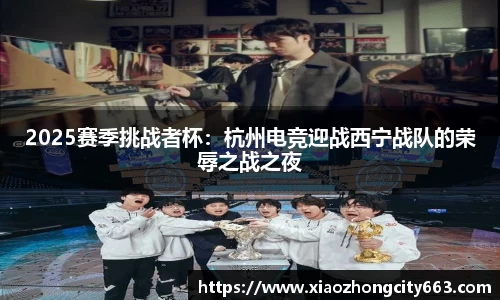 2025赛季挑战者杯：杭州电竞迎战西宁战队的荣辱之战之夜